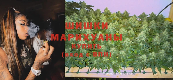 шишки Абинск