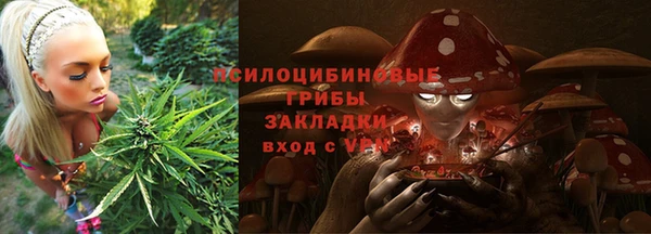 a pvp Алексин