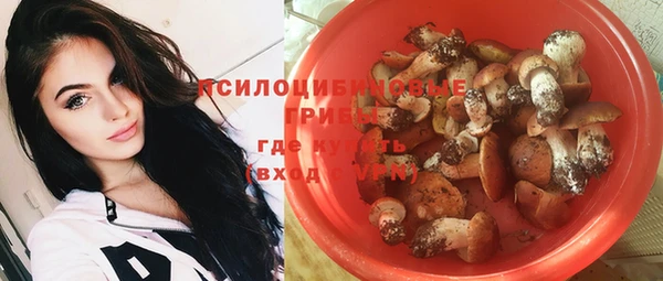 a pvp Алексин